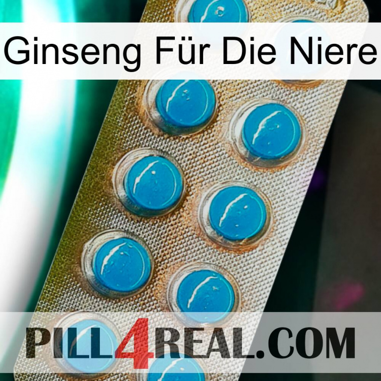 Ginseng Für Die Niere new09